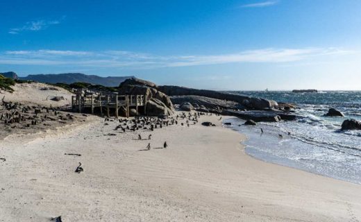 BOULDERS BEACH