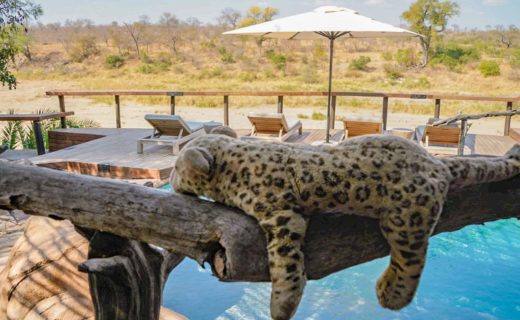 JOCK SAFARI LODGE