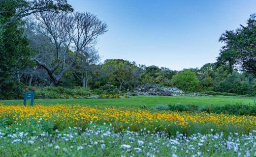 KIRSTENBOSCH