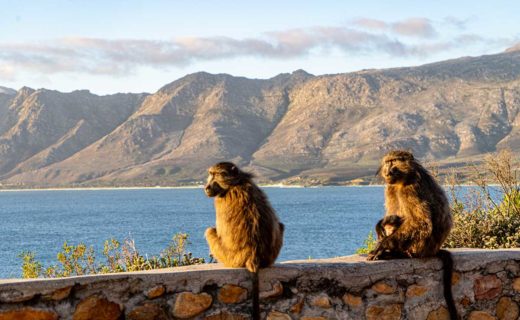 PENISOLA DEL CAPO