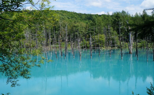 BLUE POND