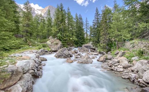 VAL FERRET