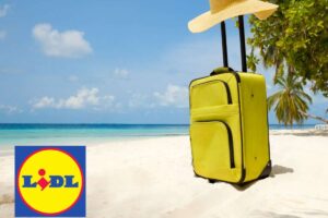 viaggi lidl