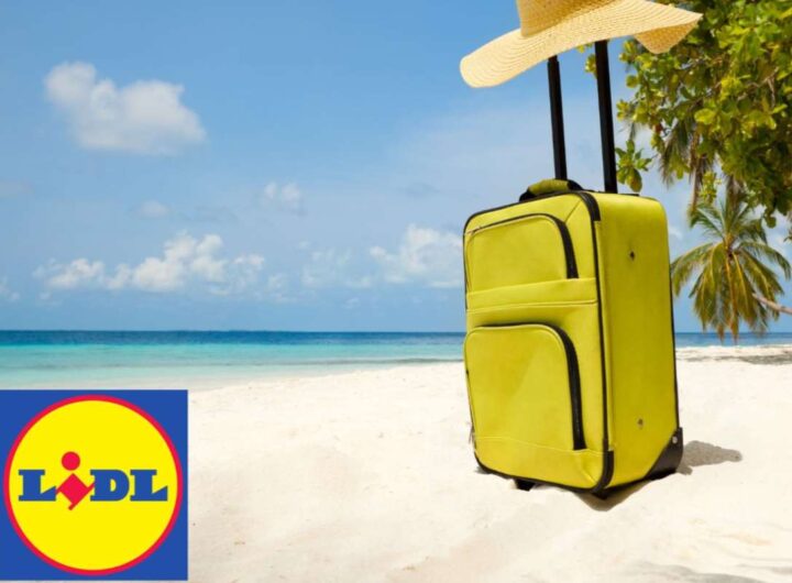 viaggi lidl
