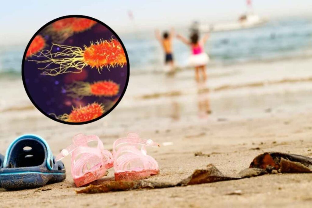 Rischio batteri a mare