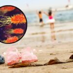 Rischio batteri a mare