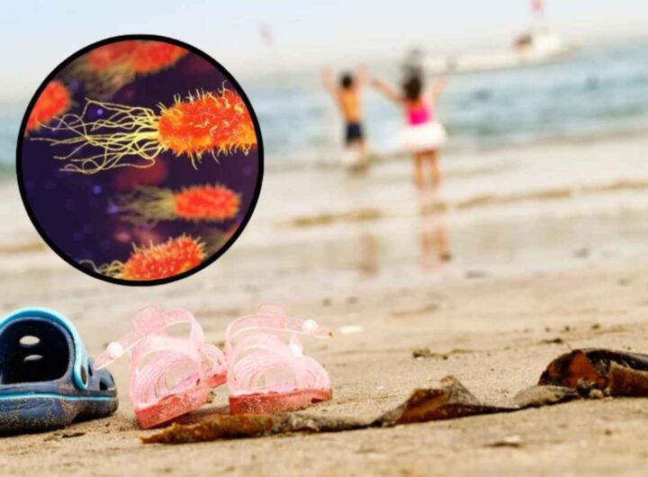 Rischio batteri a mare