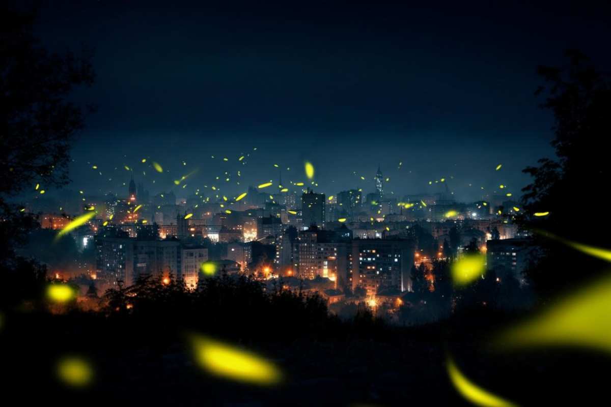 Città con le lucciole