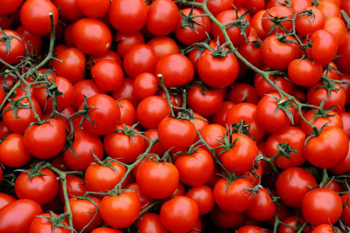 Pomodori