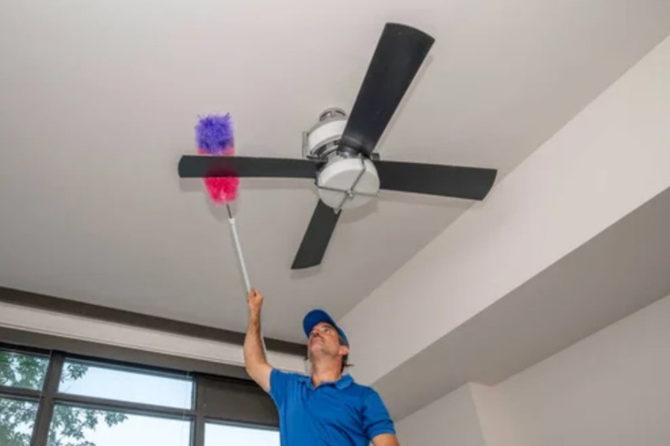 Pulizia del ventilatore a pale